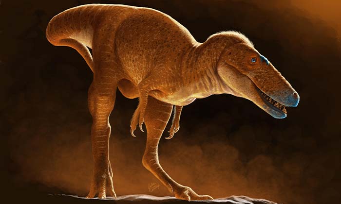 異時性が形作った大型ティラノサウルス類の進化