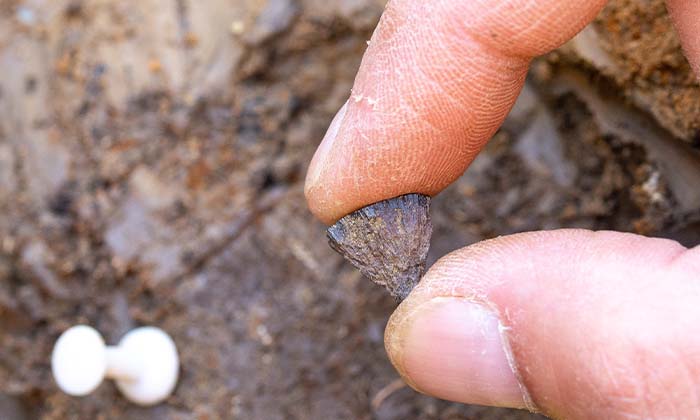 40万年前の火おこしの証拠