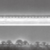 単一成分の分子液体の液体-液体転移における表面ぬれ効果