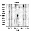 14-3-3γはMieapと相互作用してミトコンドリアの品質管理を行う