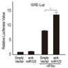 microRNA-122のサイレンシングは肝臓でのSOCS3プロモーターのメチル化制御を介してインターフェロン-αシグナルを増強する