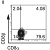 末梢リンパ組織におけるCD4 T細胞からCD8αα T細胞への分化
