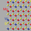 Mo1-xWxS2単層における遷移金属原子混合の可視化と定量化