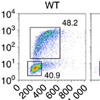 Menin-Bach2経路はCD4 T細胞の老化とサイトカイン恒常性の制御に重要である