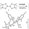 ジボラン(4)試薬を用いたイソニトリル炭素-窒素三重結合の簡便な切断法