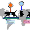 感染性レトロウイルスの複数回のネコゲノムへの侵入