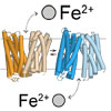 細菌由来のフェロポルチン相同遷移金属輸送体の外向きおよび内向き開構造
