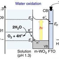 ソーラー燃料（solar fuel）としての過酸化水素の生成と消費に海水が利用できる