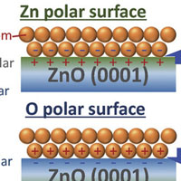 ZnO極性面上に直接製膜したCo薄膜