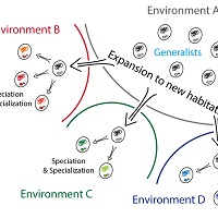 ジェネラリストが駆動する微生物の分散と進化
