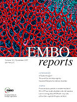 EMBO Reports の表紙