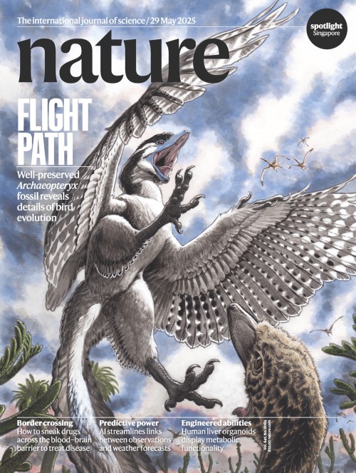 Nature 今週号の表紙