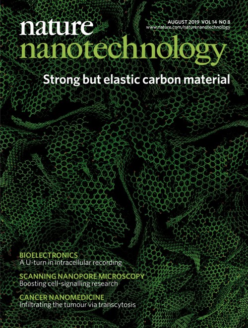 Nature Nanotechnology今月号の表紙