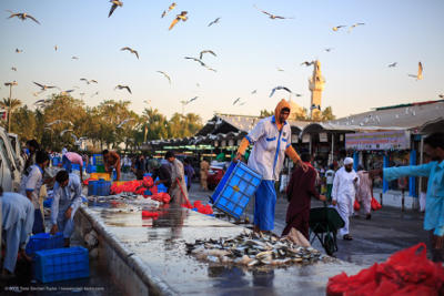 corral middle eastern singles Plentyoffish dating forums are a place to meet singles and get dating advice or share dating experiences etc hopefully you will all have fun middle eastern dating. corral middle eastern singles Plentyoffish dating forums are a place to meet singles and get dating advice or share dating experiences etc hopefully you will all have fun middle eastern dating.