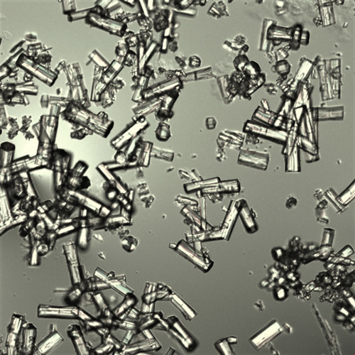 Optical microscope images of aluminum-based metal-organic framework (MOF)-303 crystals.