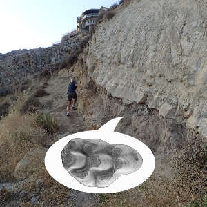Fossil tooth of Progonomys manolo and the site near Zahleh, Lebanon where it was found.