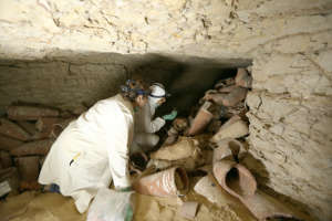 Researchers selecting ibis samples suitable for ancient DNA studies at Saqqara.