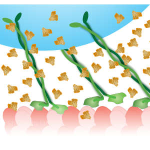 The transport of beads by teams of kinesin motors in vitro was slower in a crowded medium.