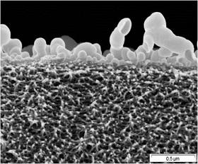 
The nanofiltration membranes have pores with a diameter  less than 1/300 of a human hair.
