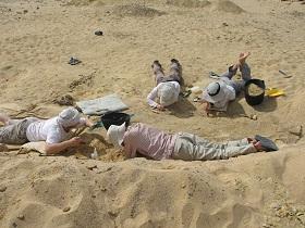 
Paleontologists excavating within the Fayum Depression that produced the  Nosmips  fossils.
