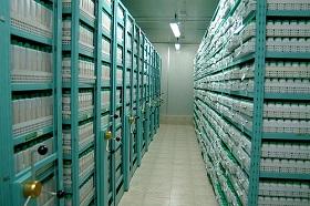 
ICARDA's gene bank holds over 110,000 accessions of its mandate crops.
