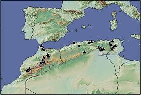 
Locations used for gathering of tree rings in Morocco, Algeria and Tunisia.
