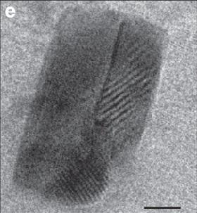 
منظر بالمجهر الإلكتروني لعدة صفيحات بلورية متداخلة من أرسينيد البلاتين.
