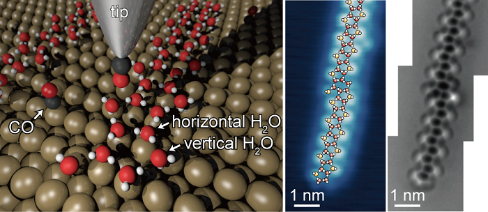 原子間力顕微鏡法による水のネットワークの超高分解能イメージング