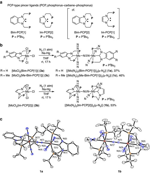 NHCを有するPCPピンサー配位子を持つ窒素架橋二核モリブデン錯体の窒素固定における優れた触媒活性