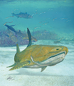 シルル紀の板皮類<i>Entelognathus</i>の再現画像。