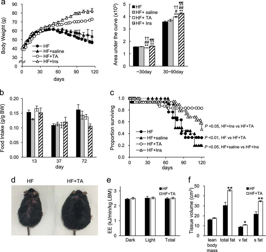 糖尿病マウスのSGLT2阻害薬TA-1887による治療は糖尿病性悪液質を緩和して死亡率を低下させる
