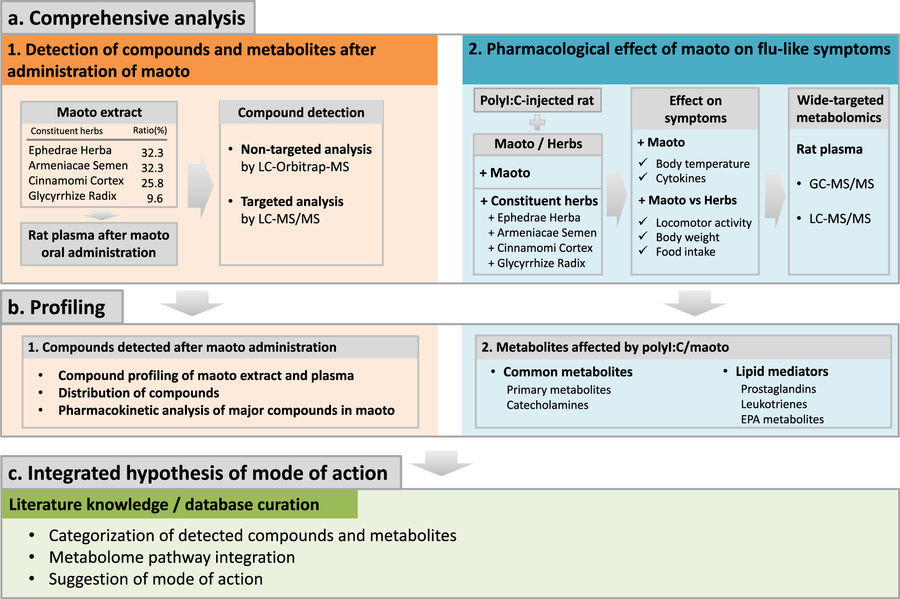 日本の伝統薬「漢方薬」の解析：インフルエンザ様症状を改善する「麻黄湯」の成分、代謝物、および薬理学的プロファイル