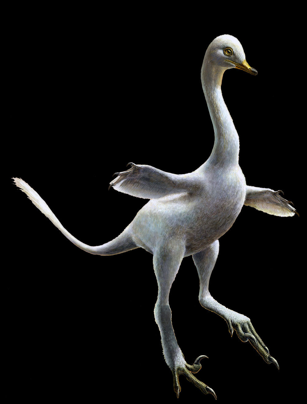 水陸両生の鳥類様恐竜<i>Halszkaraptor</i>の想像図。