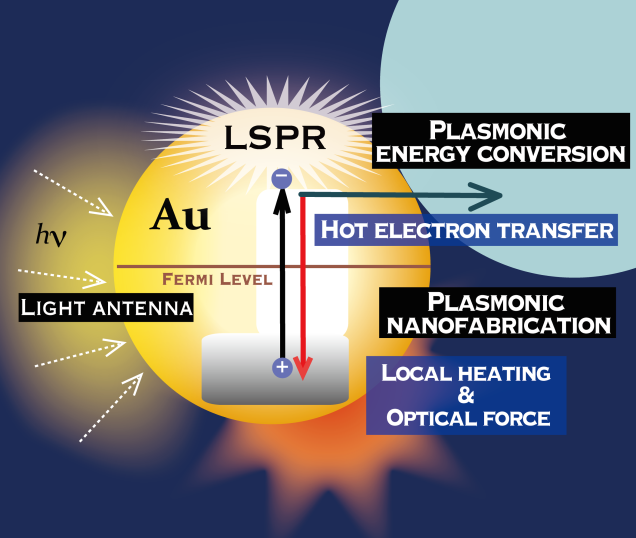 プラズモニックホットエレクトロンの移動とプラズモン分子駆動に関する知見: エネルギー変換とナノファブリケーションにおける新たな局面
