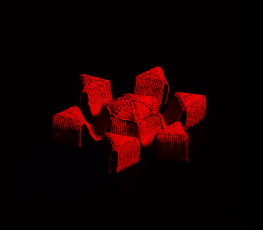 今回開発された三次元(3D)変形ソフトマテリアルの1つで、クモに似た六脚構造を持つ「MIT Spiderlike Grabber」の変形後の形状。