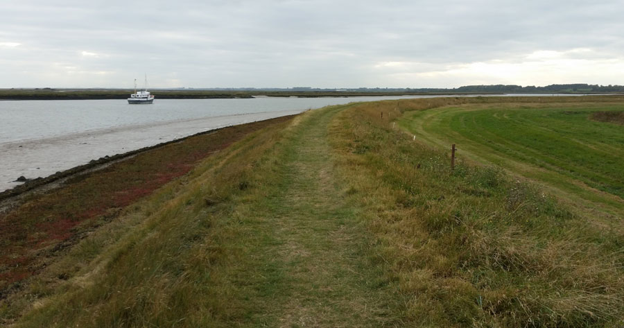  英国の東岸に細長く延びる沿岸塩性湿地。ここでは堤防によって陸側への湿地の移動が妨げられており、堆積空間を増大させてこれを可能にしなければ、全球的な海水準上昇によって湿地の幅はさらに狭められ、最終的には海に沈んでしまうだろう。