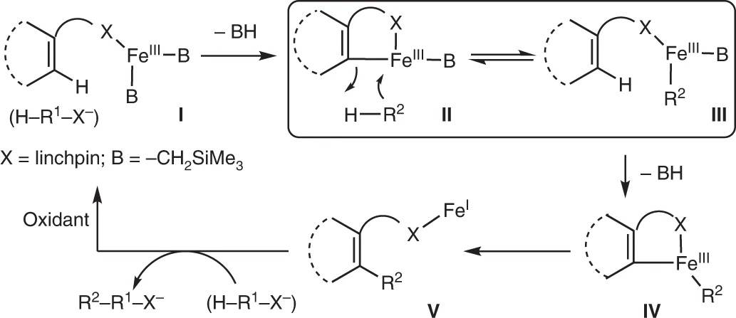 反応物質の過渡的結合を経る、鉄触媒を用いる芳香族化合物のホモカップリングフリーの二重C–H活性化/クロスカップリング