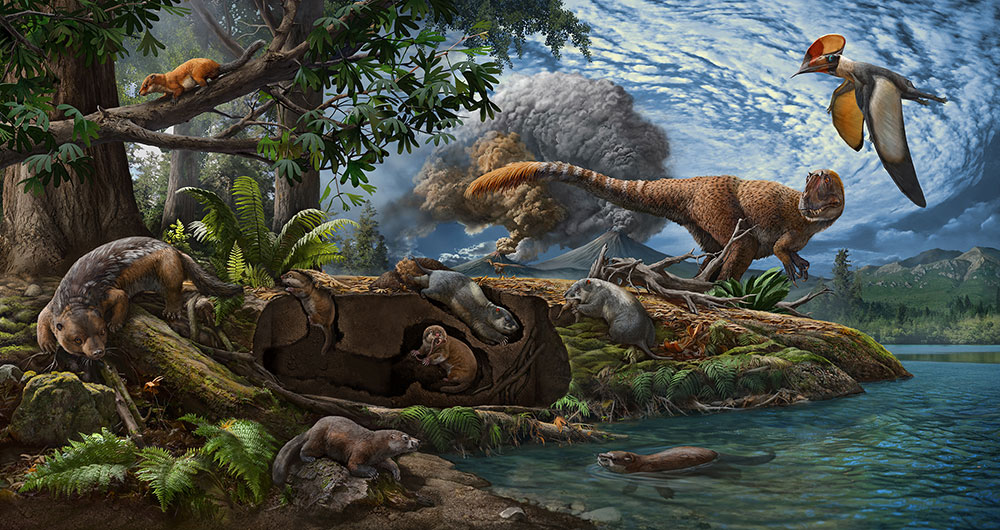 前期白亜紀の熱河生物相を描いたイラスト。今回新たに2種類の掘削性哺乳形類、真三錐歯類（地中の穴の中にいる褐色の動物）とトリティロドン類（地面から穴を掘っている灰色の動物）が発見された。