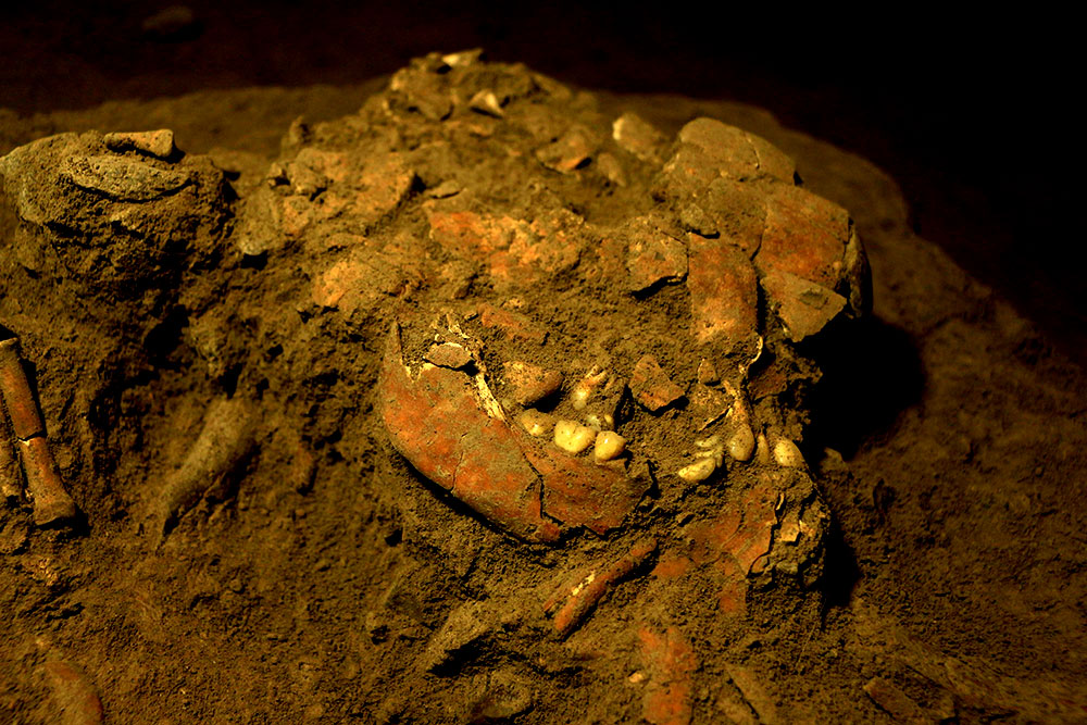 インドネシア・南スラウェシ州のLeang Panninge鍾乳洞で発見された古代人女性の断片化した頭蓋骨。