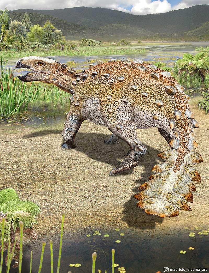 今回発見された新種の曲竜類<i>Stegouros elengassen</i>の想像図。