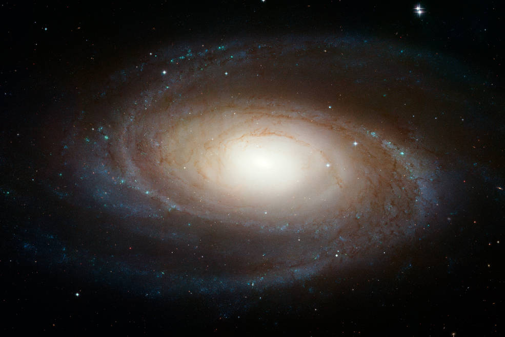ハッブル宇宙望遠鏡が撮影した近傍銀河M81。