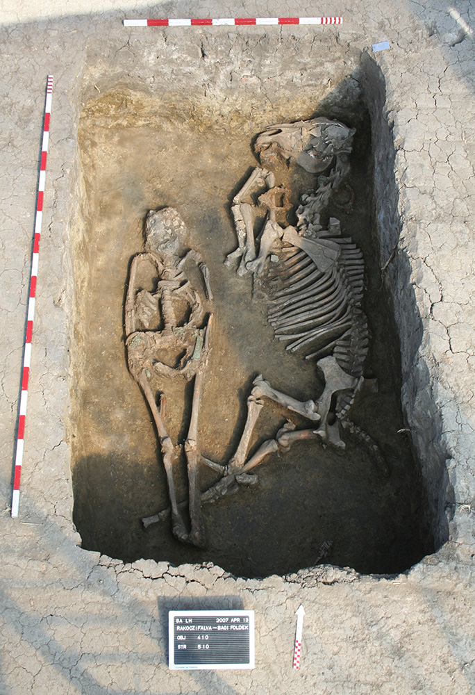 ハンガリーの紀元8世紀の墓地で発掘された、馬と共に埋葬された少年の墓。