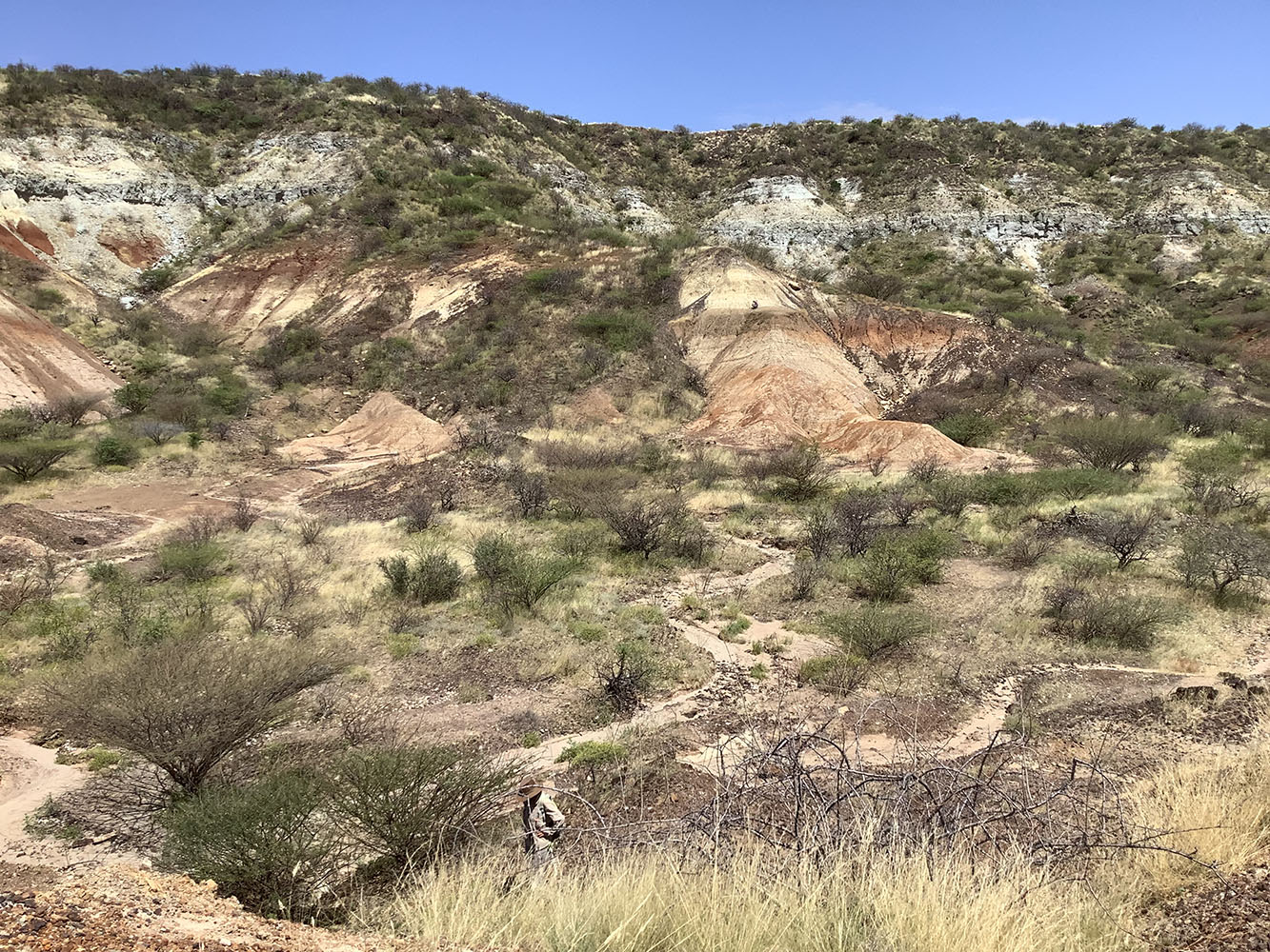 約1600万年前の長鼻類化石が発見されたケニア・トゥルカナ盆地のBuluk。