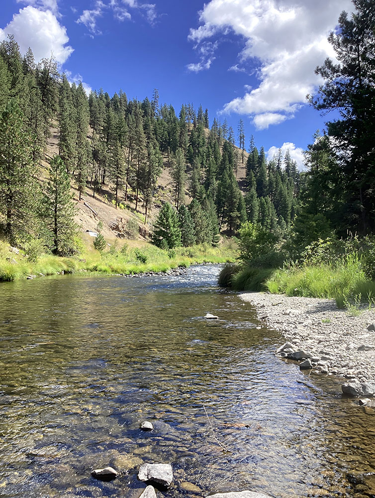 米国環境保護庁（EPA）の調査対象となった米国オレゴン州の河川。