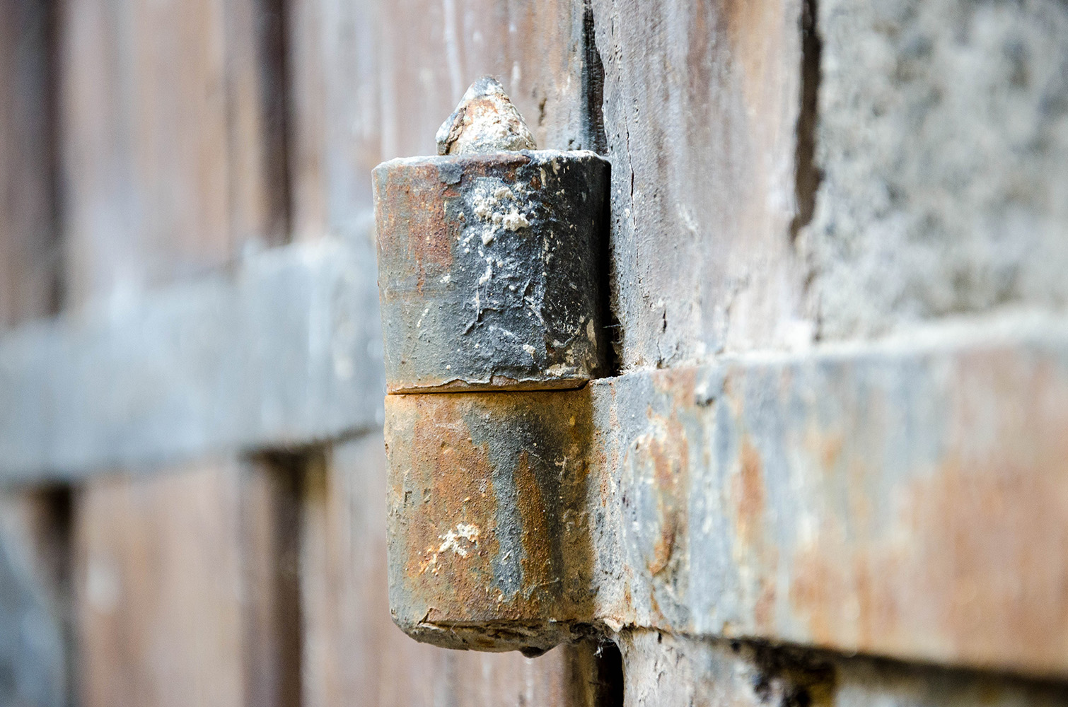 きしみ音は、固着した蝶番など、日常のさまざまな場面で生じる。