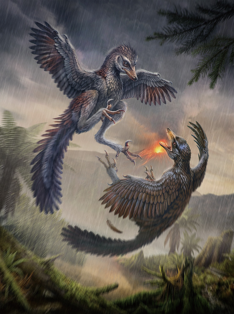後期ジュラ紀の鳥類<i>Yuezhuornis yangyuanensis</i>の想像図。