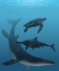 オサガメの祖先（上）やモササウルス（下）は、背中が暗色で腹部が淡色というカウンターシェイディングと呼ばれる体色パターンをしていたが、魚竜（中央）の体色は一様に黒っぽかった。