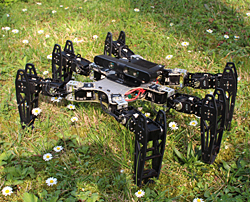 研究に使われた6本脚ロボット（損傷を受けていない状態のもの）。