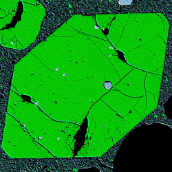 フェルナンディナ島の溶岩から得られたカンラン石結晶の電子マイクロプローブを利用したX線画像。