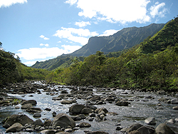 ハワイ諸島カウアイ島のハナレイ川。